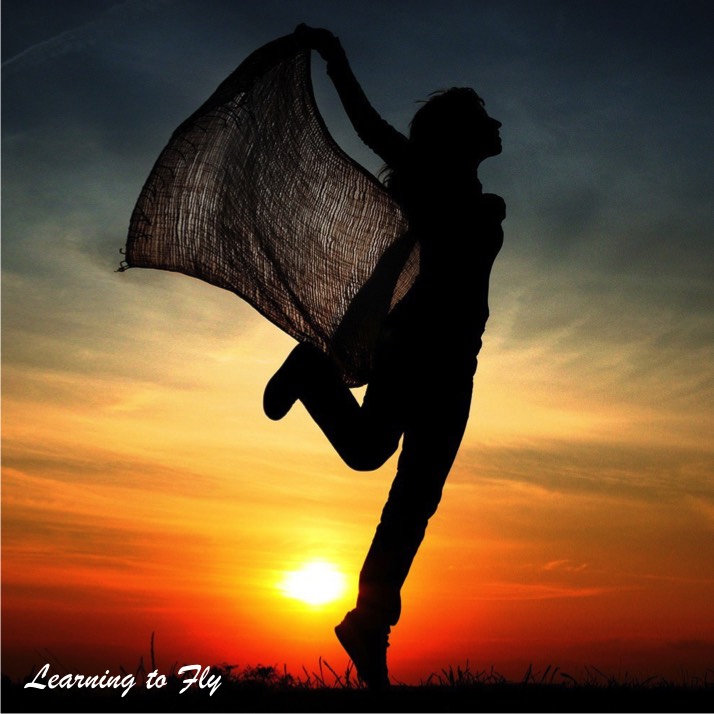 Learning to Fly (Single)